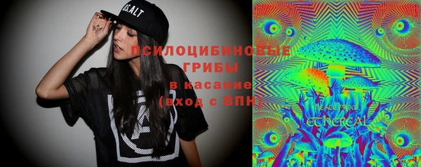 2c-b Белокуриха