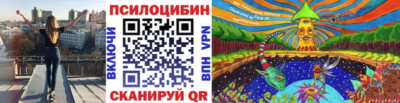 Псилоцибиновые грибы Magic Shrooms  магазин  наркотиков  Нелидово 